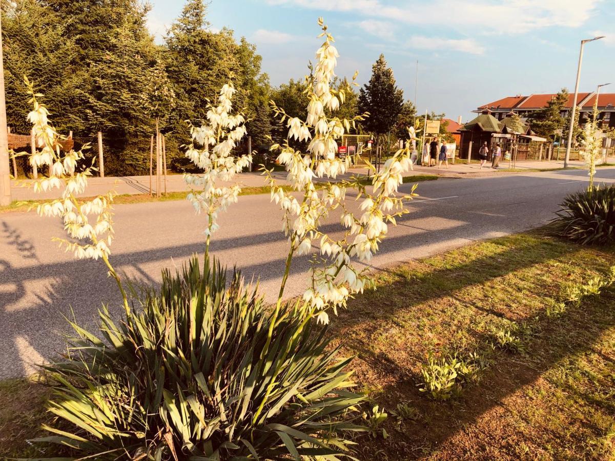 Club Thermal Village Cegléd Exteriér fotografie
